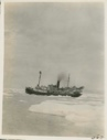 Image of S.S. Peary in ice